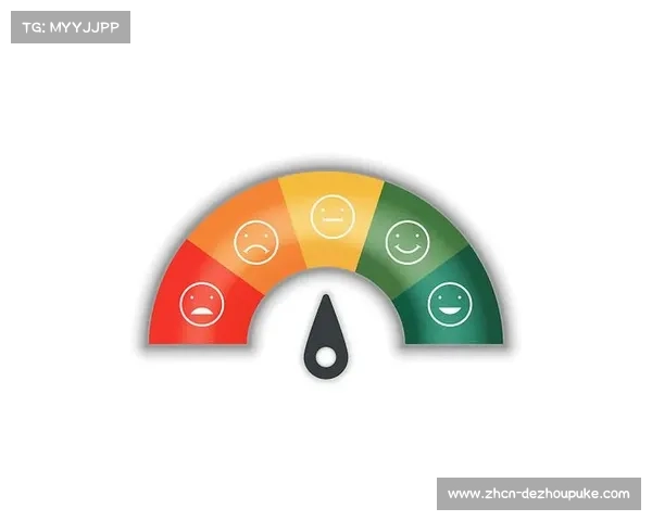 交互式视频体验评估 衡量用户控制权满意度