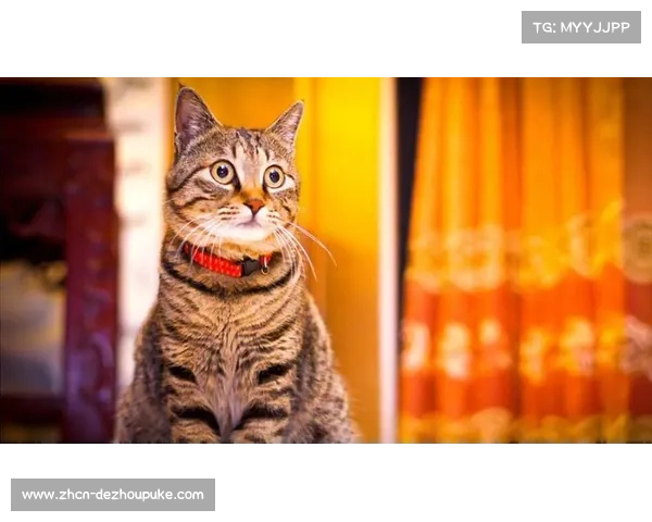 恩德里克热身时与小球童击掌，暖心举动获网友点赞